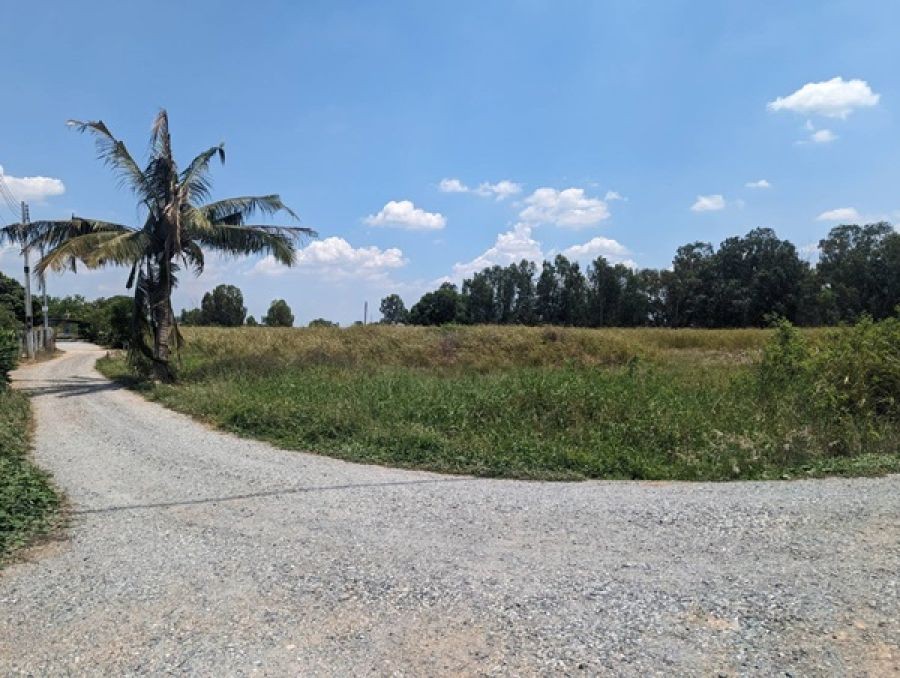 ขายที่ดินติดถนน 3 ด้าน 12-3-71 ไร่ ทำเลศักยภาพ ติดถนนศุขประยูร พนัสนิคม ชลบุรี โทร 0818213624