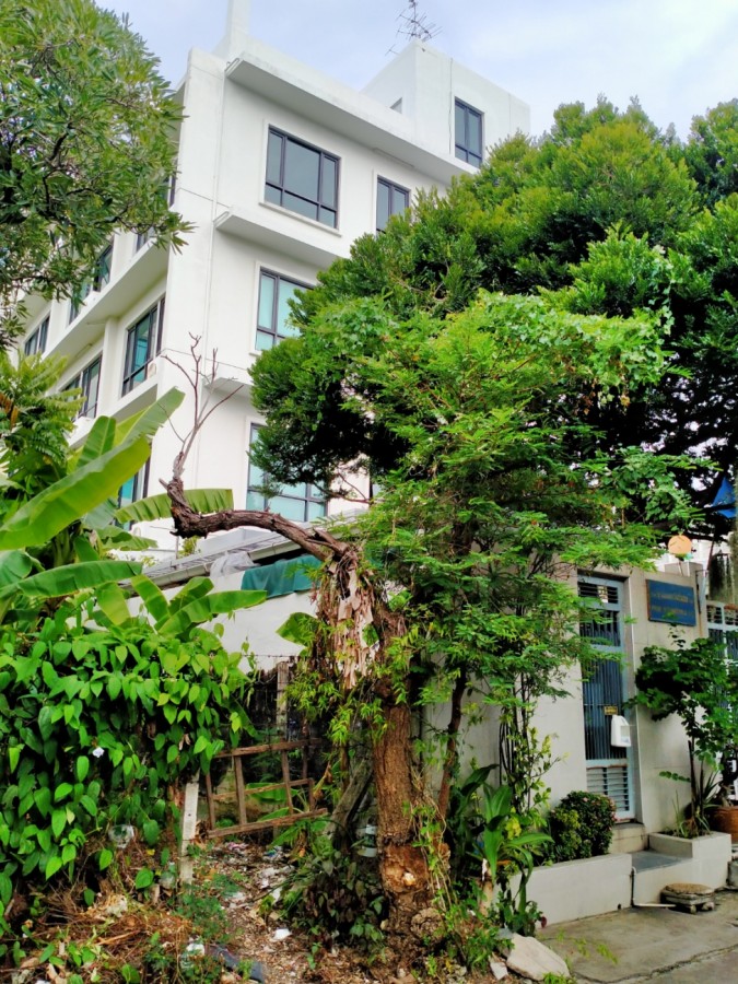 ขายอาคารสำนักงาน 5 ชั้น บนที่ดิน100กว่าตารางวา  ถนนสุขุมวิท 101/1 ซอยวชิรธรรมสาธิตแยก16 ใกล้ BTSปุณณวิถี