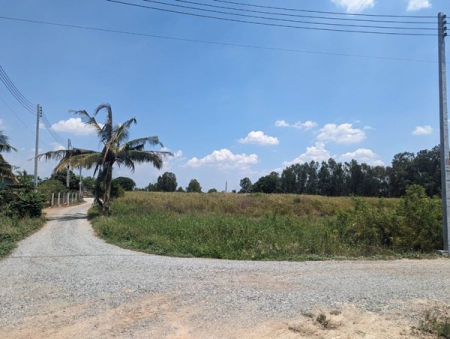 ขายที่ดินติดถนน 3 ด้าน 12-3-71 ไร่ ทำเลศักยภาพ ติดถนนศุขประยูร พนัสนิคม ชลบุรี โทร 0818213624