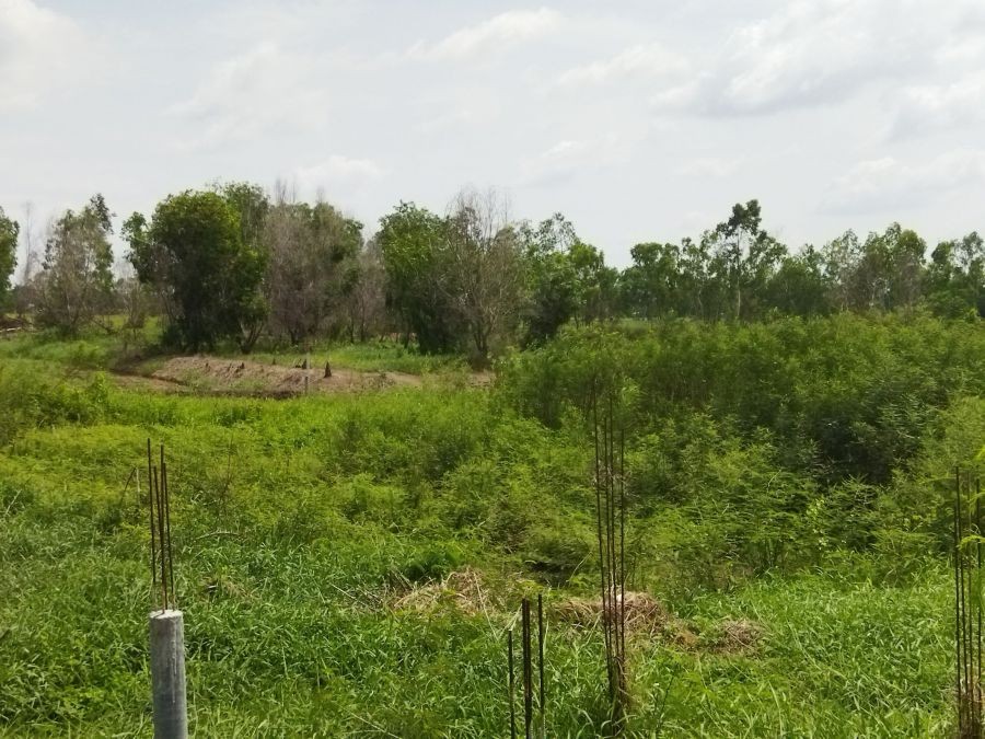 ที่ดิน 11ไร่  ติดถนนกาญจนาภิเษก  ทล  สาย 9 เส้น347  ใกล้ทางต่างระดับเชียงราก-บางปะอิน