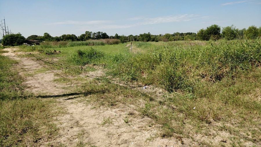 ที่ดิน 11ไร่  ติดถนนกาญจนาภิเษก  ทล  สาย 9 เส้น347  ใกล้ทางต่างระดับเชียงราก-บางปะอิน