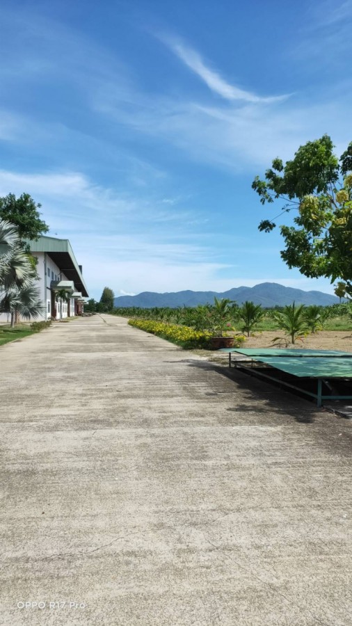 ขายโรงงานบนที่ดิน 97 ไร่ ติดถนนเพชรเกษม ขาเข้ากรุงเทพ กม.178 