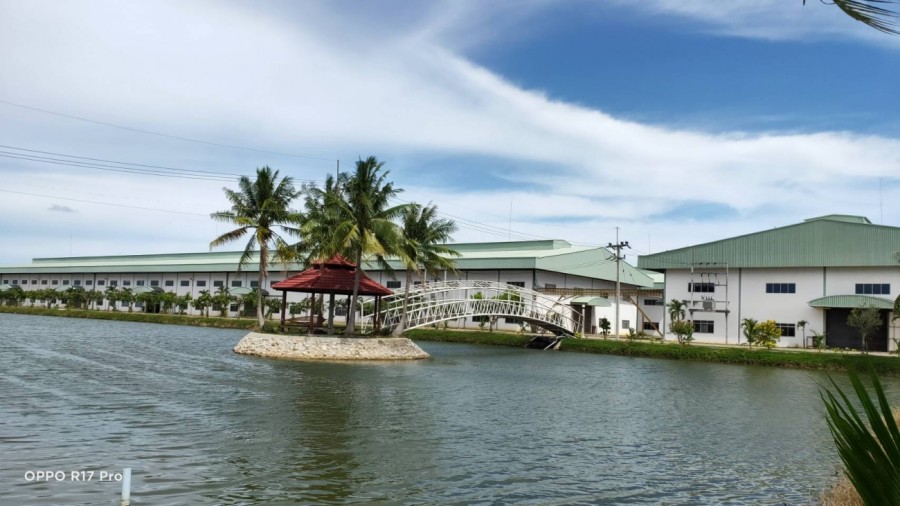 ขายโรงงานบนที่ดิน 97 ไร่ ติดถนนเพชรเกษม ขาเข้ากรุงเทพ กม.178 