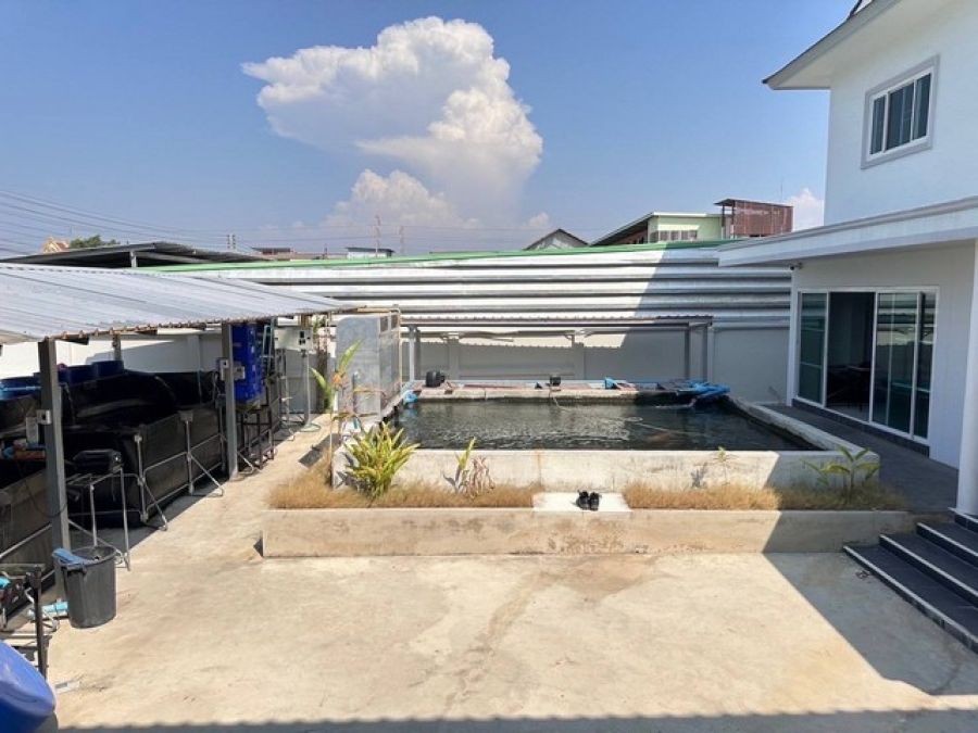 ขายที่ดิน 1 ไร่ โกดังพร้อมออฟฟิศสำนักงา บ้าน 2 ชั้น  และที่พักอาศัยคนงาน ซ.ตาสิน ต.บางโฉลง อ.บางพลี