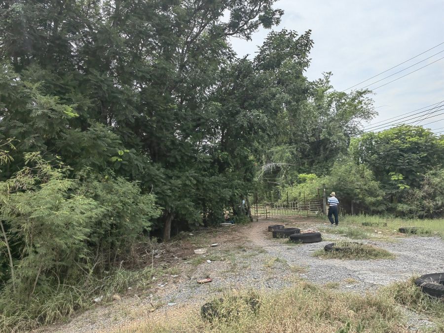 ขายที่ดินต่ำกว่าราคาประเมิน ถนนพหลโยธิน กม.72 ใกล้เชียงกง อ.วังน้อย อยุธยา เหมาะทำเกษตร