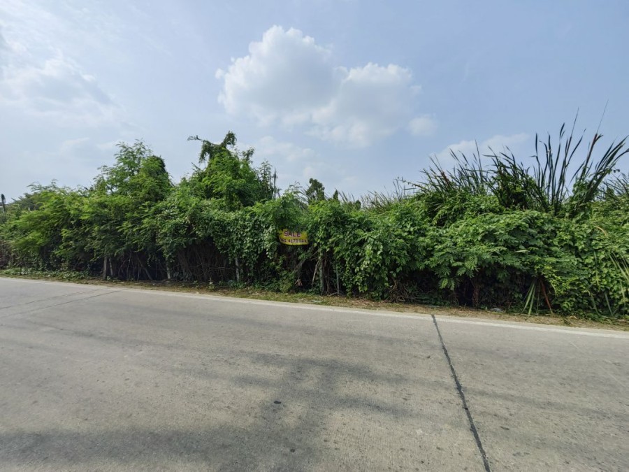 ขาย/เช่าที่ดิน 2 ไร่ ในซอยคลองสาม 1/17 ถนนรังสิต-นครนายก คลอง3  ที่ดินอยู่ในแหล่งชุมชน