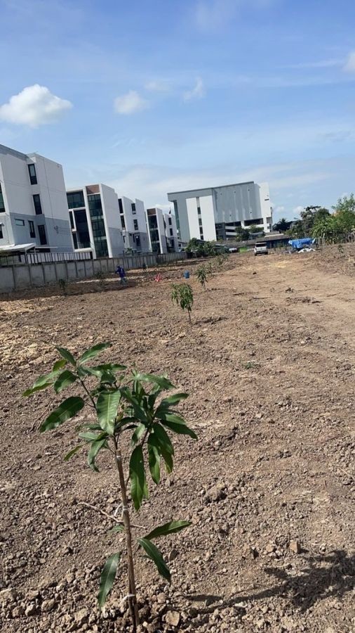 เช่า/ขายที่ดิน 4 ไร่ เศษ กิ่งแก้วซอย 19 ทำเลดี ใกล้ถนนใหญ่กิ่งแก้ว 8 เลน 200ม. สมุทรปราการ (ที่ดินสีแดง) โทร 081-8017208