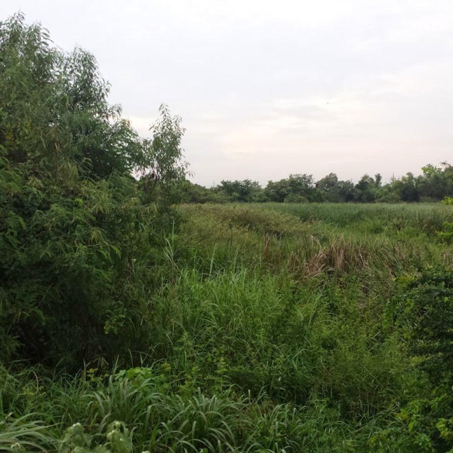 ขายที่ดิน 36 ไร่ ติดถนนพหลโยธิน ใกล้โรงพยาบาลหนองแค อ.หนองแค จ.สระบุรี