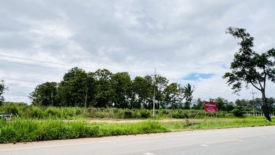 ขายที่ดิน อำเภอภูเรือ จังหวัดเลย 21 ไร่ 3 งาน 15 ตร.ว. ติดถนนทางหลวงหมายเลข 21 โทร 094-9154199