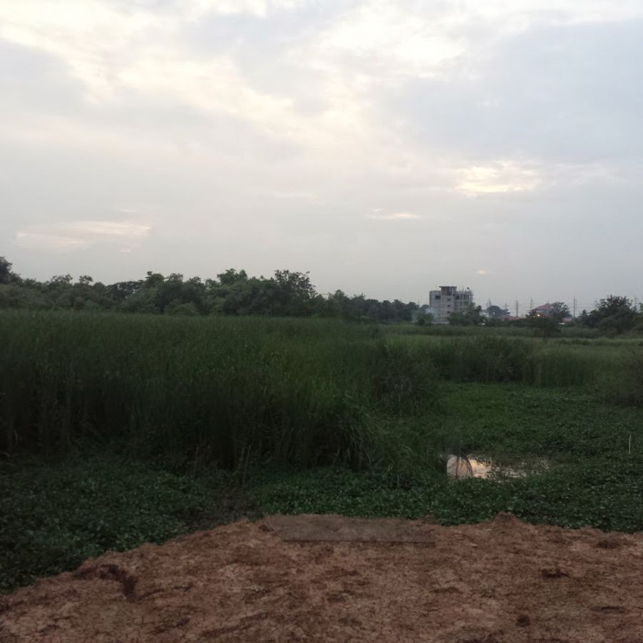 ขายที่ดิน 36 ไร่ ติดถนนพหลโยธิน ใกล้โรงพยาบาลหนองแค อ.หนองแค จ.สระบุรี