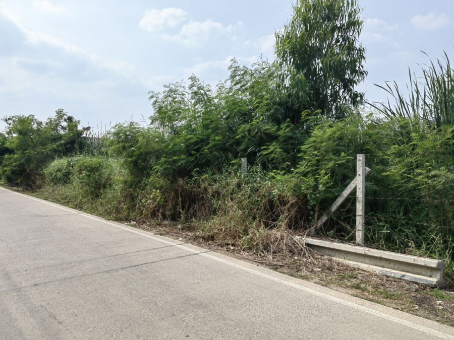 ขาย/เช่าที่ดิน 2 ไร่ ในซอยคลองสาม 1/17 ถนนรังสิต-นครนายก คลอง3  ที่ดินอยู่ในแหล่งชุมชน