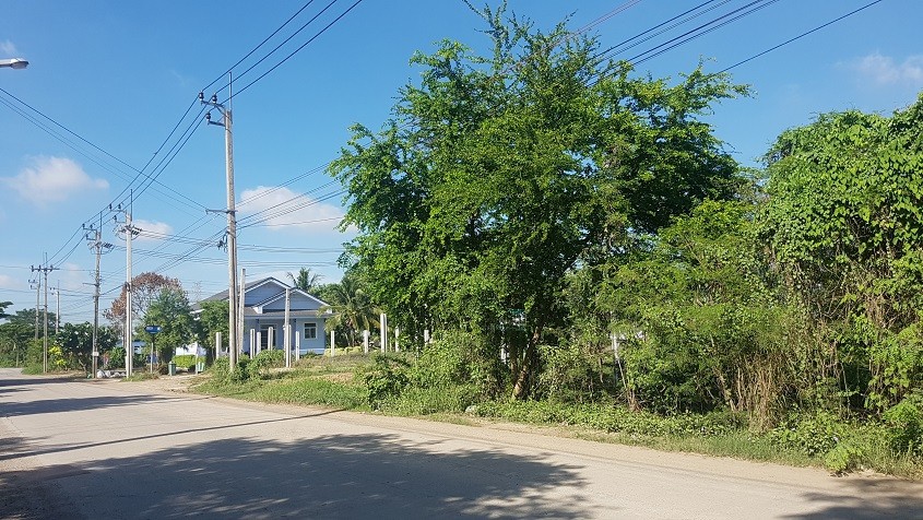 ขายที่ดิน 15 ไร่ ติดถนนบึงขวาง ใกล้ซ.บึงขวาง 16 ใกล้ถนนสุวินทวงค์ ร่มเกล้า ใกล้รถไฟฟ้าสถานีสุวินทวงค์