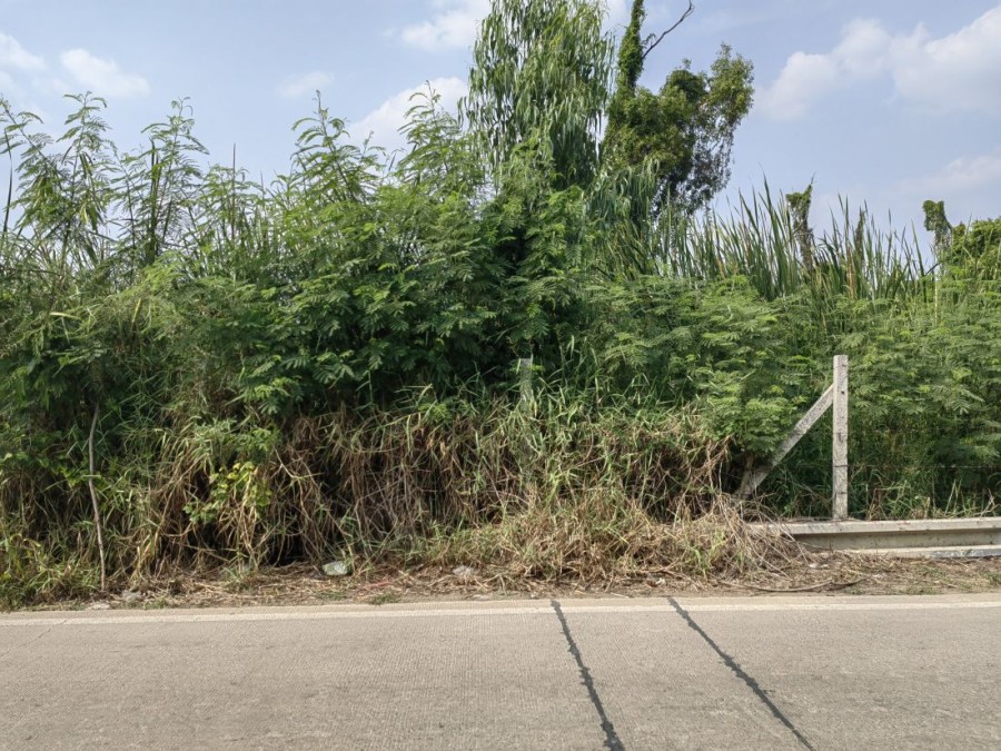 ขาย/เช่าที่ดิน 2 ไร่ ในซอยคลองสาม 1/17 ถนนรังสิต-นครนายก คลอง3  ที่ดินอยู่ในแหล่งชุมชน