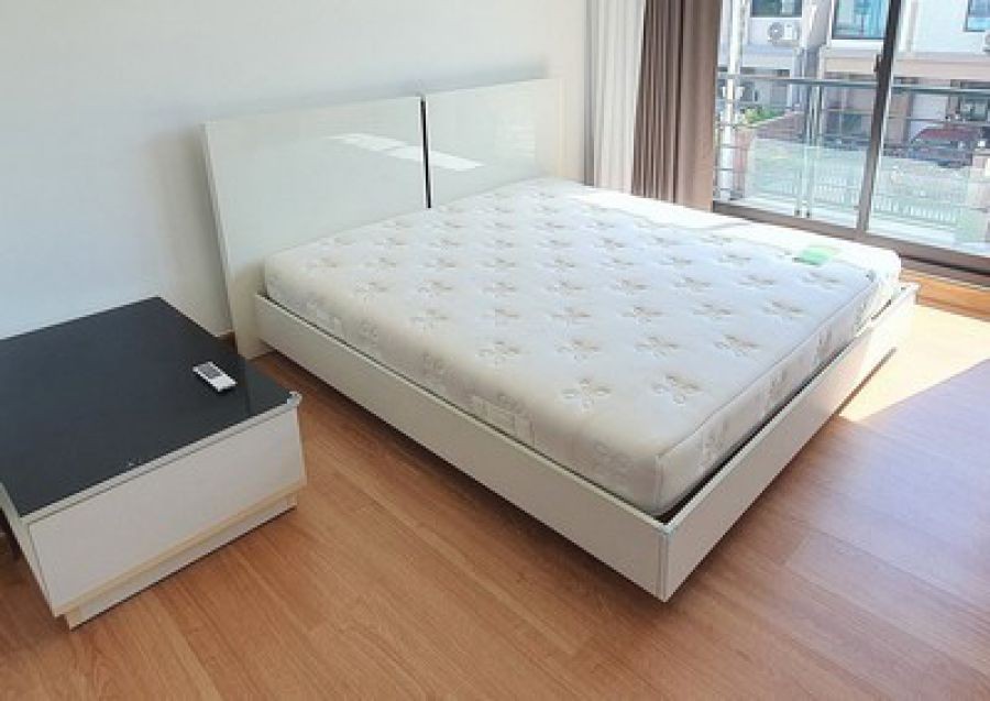 ให้เช่าบ้านเดี่ยว พร้อมอยู่ โครงการ  The Plant กรุงเทพ-ปทุม พร้อมเข้าอยู่ได้ทันที  ขอไม่รับสัตว์เลี้ยง