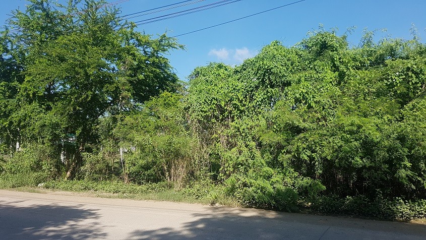 ขายที่ดิน 15 ไร่ ติดถนนบึงขวาง ใกล้ซ.บึงขวาง 16 ใกล้ถนนสุวินทวงค์ ร่มเกล้า ใกล้รถไฟฟ้าสถานีสุวินทวงค์