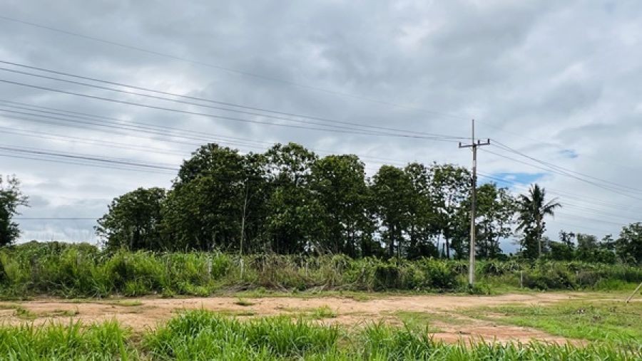 ขายที่ดิน อำเภอภูเรือ จังหวัดเลย 21 ไร่ 3 งาน 15 ตร.ว. ติดถนนทางหลวงหมายเลข 21 โทร 094-9154199