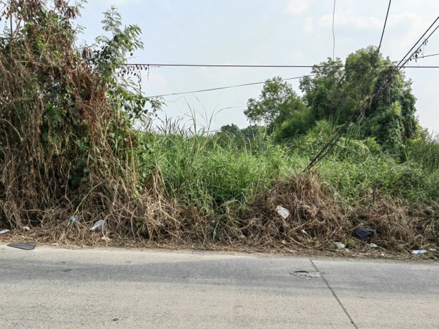 ขาย/เช่าที่ดิน 8 ไร่ ในซอยคลองสาม 2/1 ถนนรังสิต-นครนายก คลอง3 ปทุมธานี