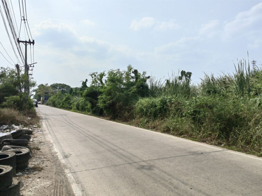 ขาย/เช่าที่ดิน 2 ไร่ ในซอยคลองสาม 1/17 ถนนรังสิต-นครนายก คลอง3  ที่ดินอยู่ในแหล่งชุมชน