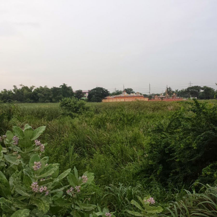 ขายที่ดิน 36 ไร่ ติดถนนพหลโยธิน ใกล้โรงพยาบาลหนองแค อ.หนองแค จ.สระบุรี