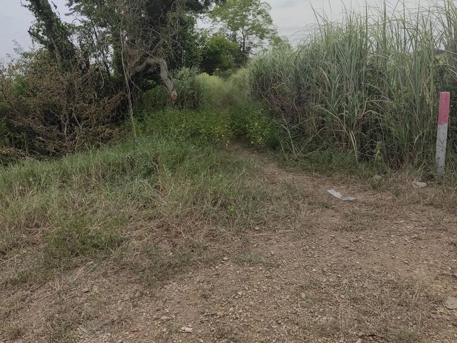 ขายที่ดินต่ำกว่าราคาประเมิน ถนนพหลโยธิน กม.72 ใกล้เชียงกง อ.วังน้อย อยุธยา เหมาะทำเกษตร