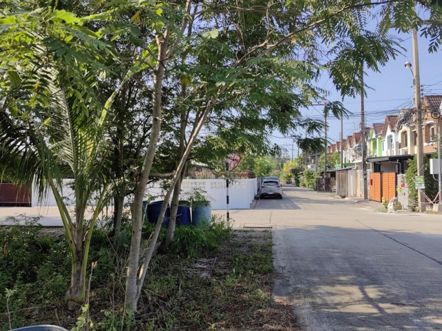 ขายที่ดิน 3-2-96  ไร่ ถนนพุทธมณฑล สาย4 ในซอย มบ.ปาริชาติ (ซอยกระทุ่มล้ม1) สามพราน