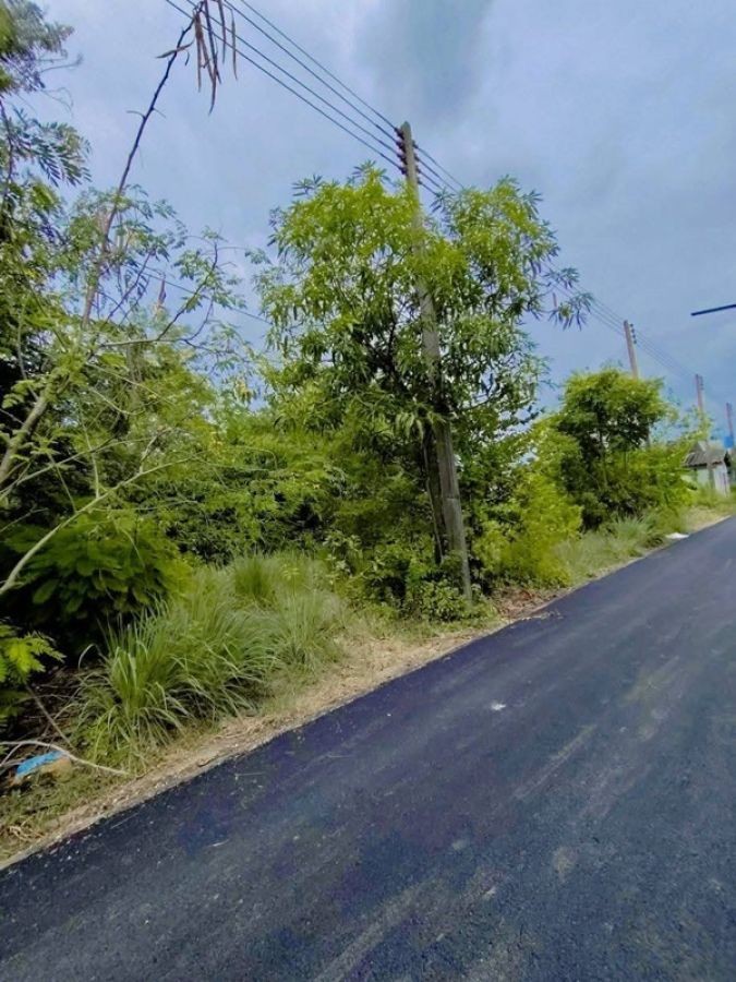 ขายที่ดินถมแล้ว 19.5 ตรว. เคหะคลองแปด อ.หนองเสือ จ.ปทุมธานี ติดถนน น้ำประปา ไฟฟ้า สะดวกสบาย โทร 095-165-3654