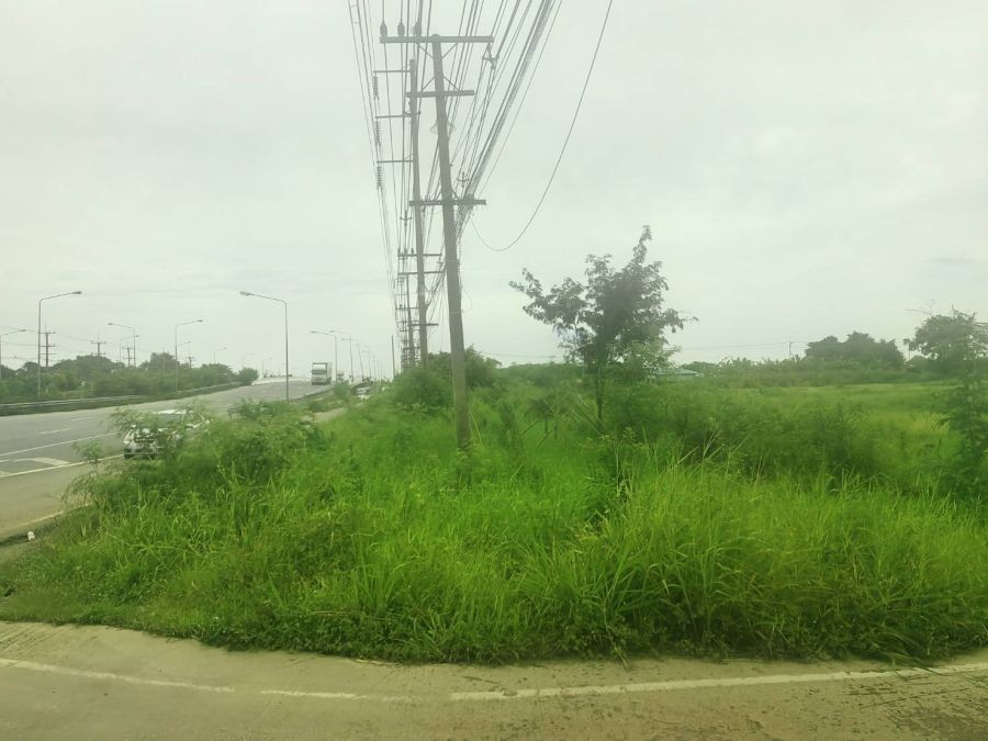 ขายที่ดิน 123 ไร่ แปลงสวยติดถนนใหญ่ ถนนสุวินทวงศ์  อ.บางน้ำเปรี้ยว จ.ฉะเชิงเทรา วิ่งเส้น 304 จากมีนบุรี