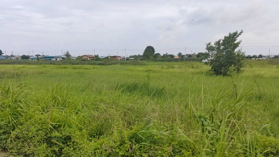 ขายที่ดิน 123 ไร่ แปลงสวยติดถนนใหญ่ ถนนสุวินทวงศ์  อ.บางน้ำเปรี้ยว จ.ฉะเชิงเทรา วิ่งเส้น 304 จากมีนบุรี