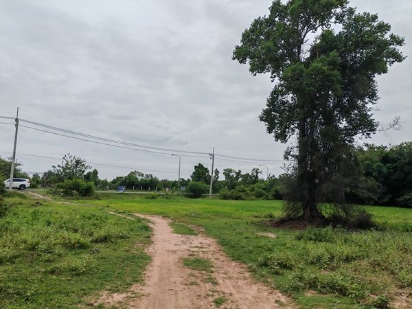 ขายที่ดินเปล่า 16 ไร่ 2 งาน 58 ตร.ว. อำเภอประทาย นครราชสีมา ติดถนน อยู่ในแหล่งชุมชน โทร 083-9169044