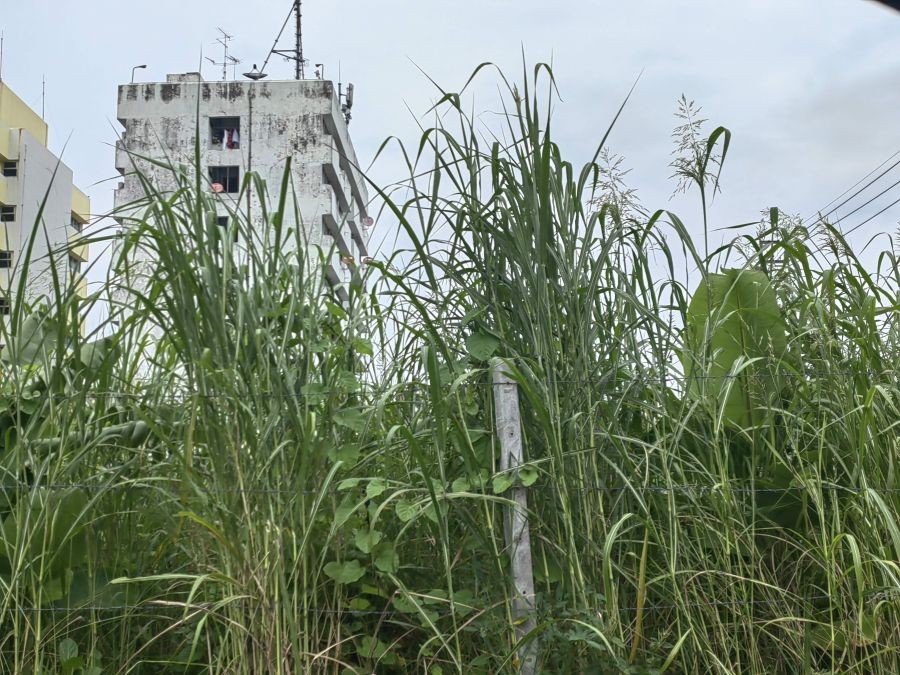 ขายที่ดิน 424 ตรว. ติดถนนพัฒนาการ78 ใกล้ถนนตัดใหม่พัฒนาการ และถนนอ่อนนุช