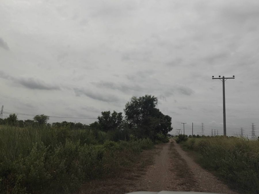 ขายที่ดินต่ำกว่าราคาประเมิน ถนนพหลโยธิน กม.72 ใกล้เชียงกง อ.วังน้อย อยุธยา เหมาะทำเกษตร