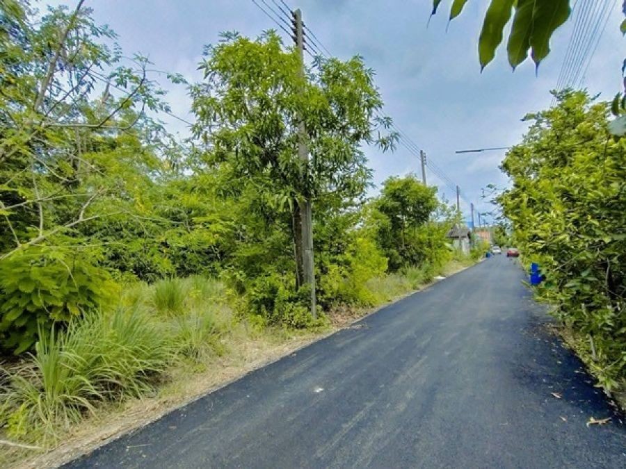 ขายที่ดินถมแล้ว 19.5 ตรว. เคหะคลองแปด อ.หนองเสือ จ.ปทุมธานี ติดถนน น้ำประปา ไฟฟ้า สะดวกสบาย โทร 095-165-3654