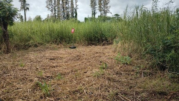 ขายที่ดินแปลงสวย ริมถนนเพชรเกษม ขาออก หัวหิน–ปราณบุรี ถูกสุดในย่านนี้! โทร 0889244695