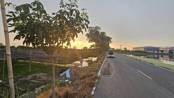 ขายที่ดิน 4 ไร่ 135 ตารางวา อ.ไทรน้อย จ.นนทบุรี หน้ากว้างติดถนนตัดใหม่ บรรยากาศดี โทร 065-365-4426