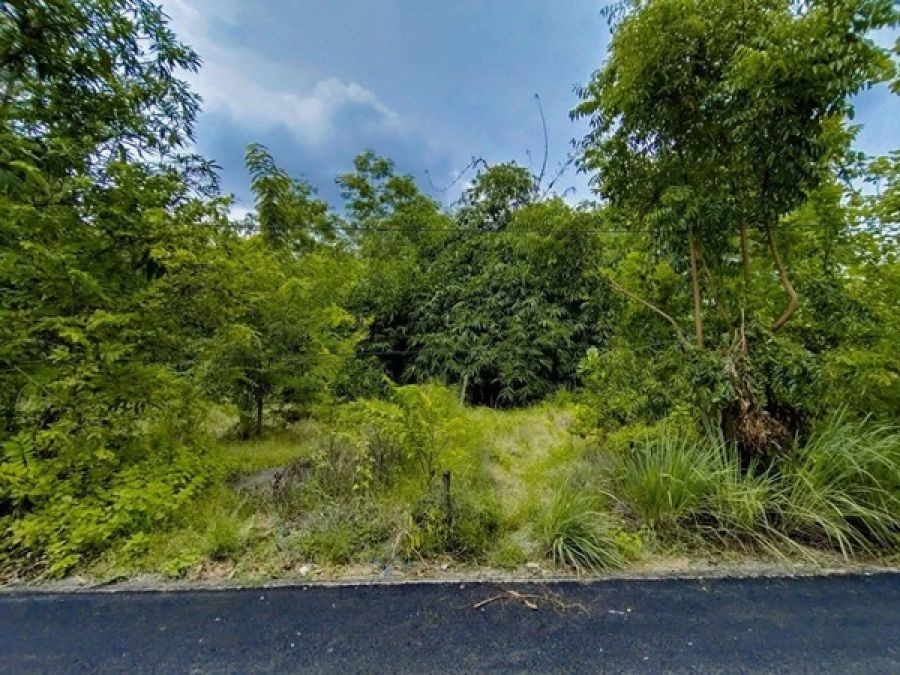 ขายที่ดินถมแล้ว 19.5 ตรว. เคหะคลองแปด อ.หนองเสือ จ.ปทุมธานี ติดถนน น้ำประปา ไฟฟ้า สะดวกสบาย โทร 095-165-3654