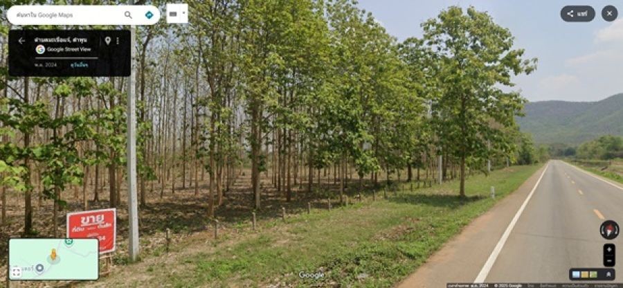 ด่วน! โอกาสทองสำหรับนักลงทุน ที่ดิน 29 ไร่ พร้อมสวนสักอายุ 12 ปี ใกล้เมืองลำพูน โทร 081-530-7997