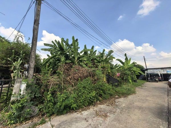 ขายที่ดินเปล่า 70ตรว. คลอง11 หมู่บ้านนริศรา ซ.4 ถูกกว่าราคาประเมิน เจ้าของขายเอง โทร 0969654945