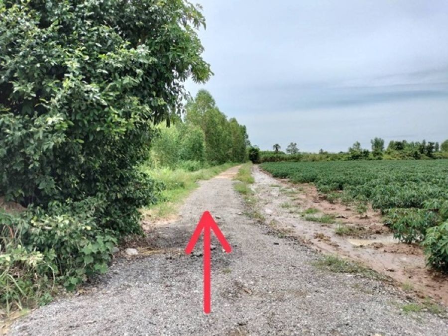 ขายที่ดิน ซอย บ้านหนองไทร ต.บ้านไร่ อ.ลาดยาว จ.นครสวรรค์ 34 ไร่ โฉนดครุฑแดง เจ้าของขายเอง โทร 065-3423946