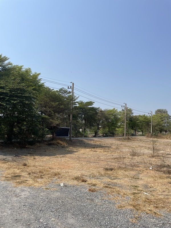 ขายที่ดินแปลงใหญ่ 16ไร่ 2งาน 77ตร.วา - ลาดหลุมแก้ว ปทุมธานี โทร 090-8982918 ราคาต่ำกว่าตลาด