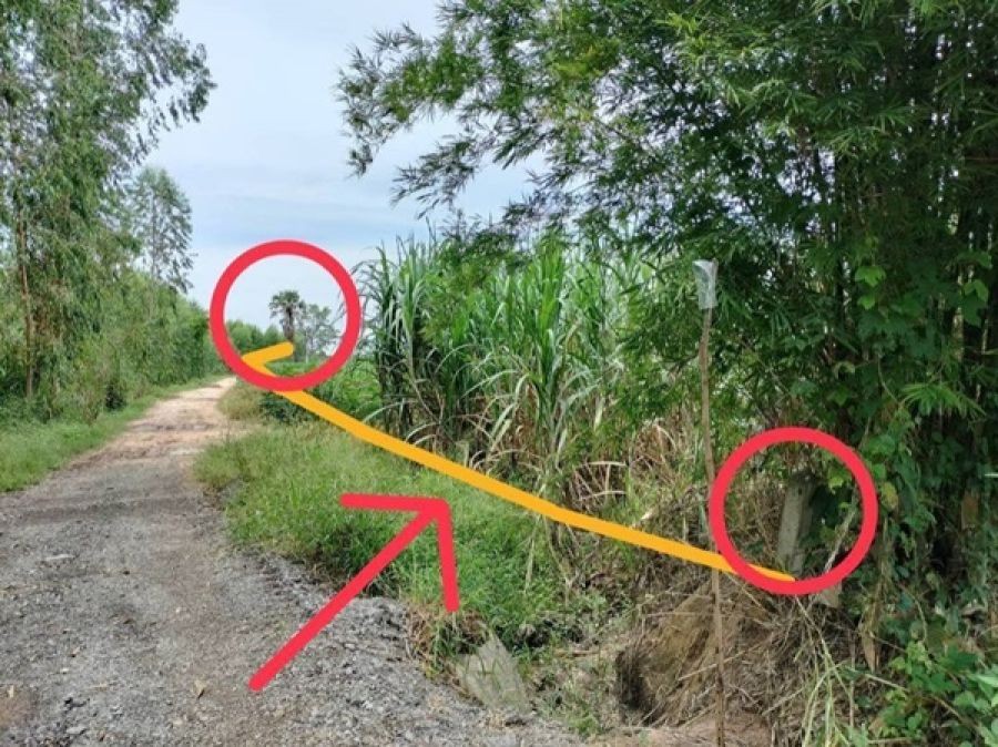 ขายที่ดิน ซอย บ้านหนองไทร ต.บ้านไร่ อ.ลาดยาว จ.นครสวรรค์ 34 ไร่ โฉนดครุฑแดง เจ้าของขายเอง โทร 065-3423946