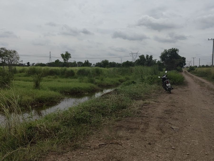 ขายที่ดินต่ำกว่าราคาประเมิน ถนนพหลโยธิน กม.72 ใกล้เชียงกง อ.วังน้อย อยุธยา เหมาะทำเกษตร