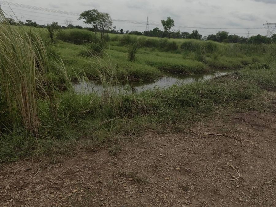 ขายที่ดินต่ำกว่าราคาประเมิน ถนนพหลโยธิน กม.72 ใกล้เชียงกง อ.วังน้อย อยุธยา เหมาะทำเกษตร