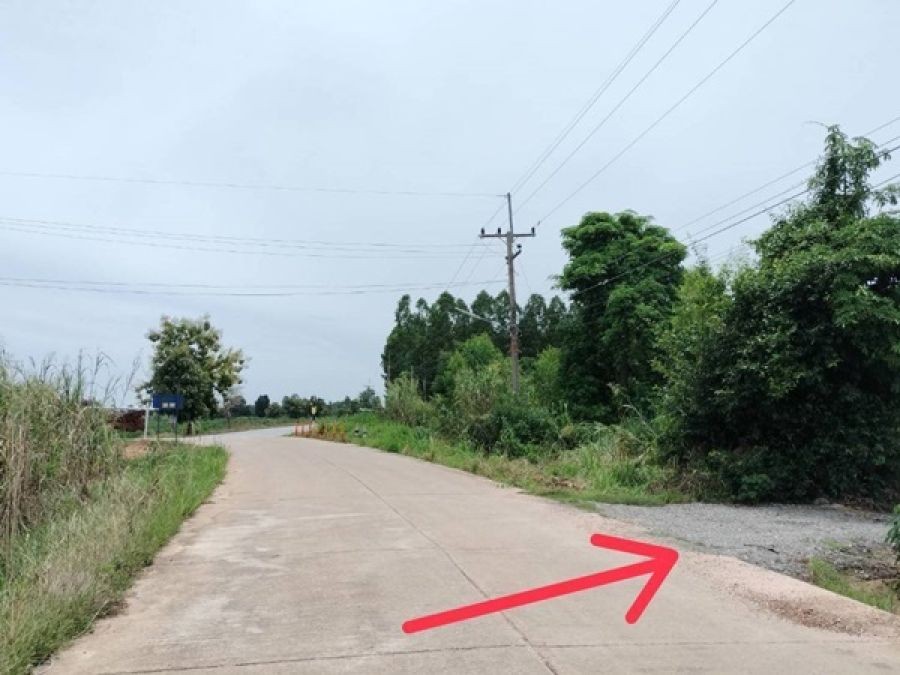 ขายที่ดิน ซอย บ้านหนองไทร ต.บ้านไร่ อ.ลาดยาว จ.นครสวรรค์ 34 ไร่ โฉนดครุฑแดง เจ้าของขายเอง โทร 065-3423946