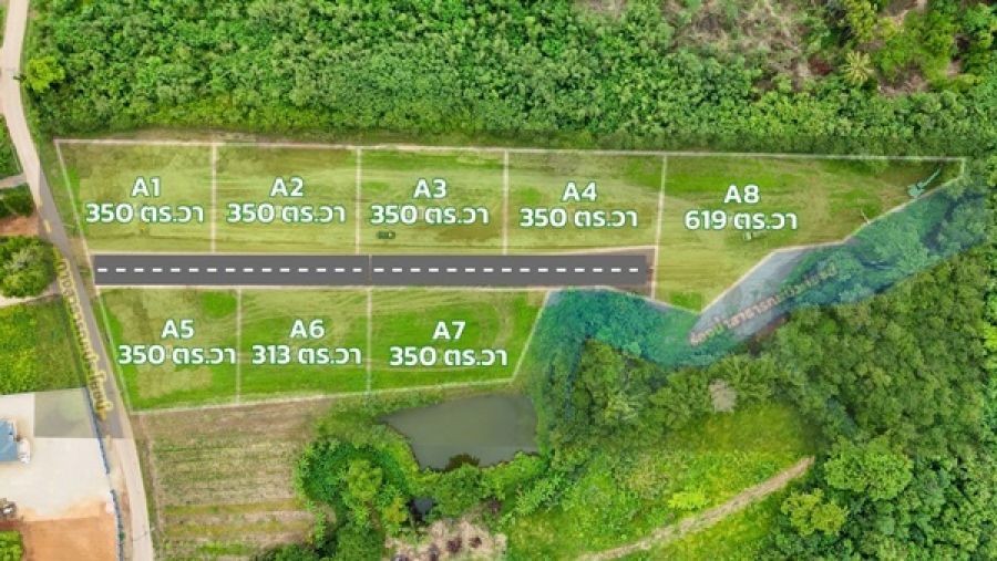 ขายที่ดินหมูสี ปากช่อง เขาใหญ่ โคราช แบ่งแปลงขายพร้อม สาธารณุปโภคพร้อม โทร 0814012278