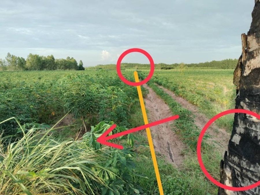 ขายที่ดิน ซอย บ้านหนองไทร ต.บ้านไร่ อ.ลาดยาว จ.นครสวรรค์ 34 ไร่ โฉนดครุฑแดง เจ้าของขายเอง โทร 065-3423946