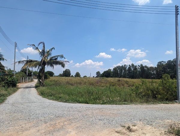 ขายที่ดินติดถนน 3 ด้าน 12-3-71 ไร่ ทำเลทอง ศุขประยูร - พนัสนิคม จ.ชลบุรี โทร 0818213624