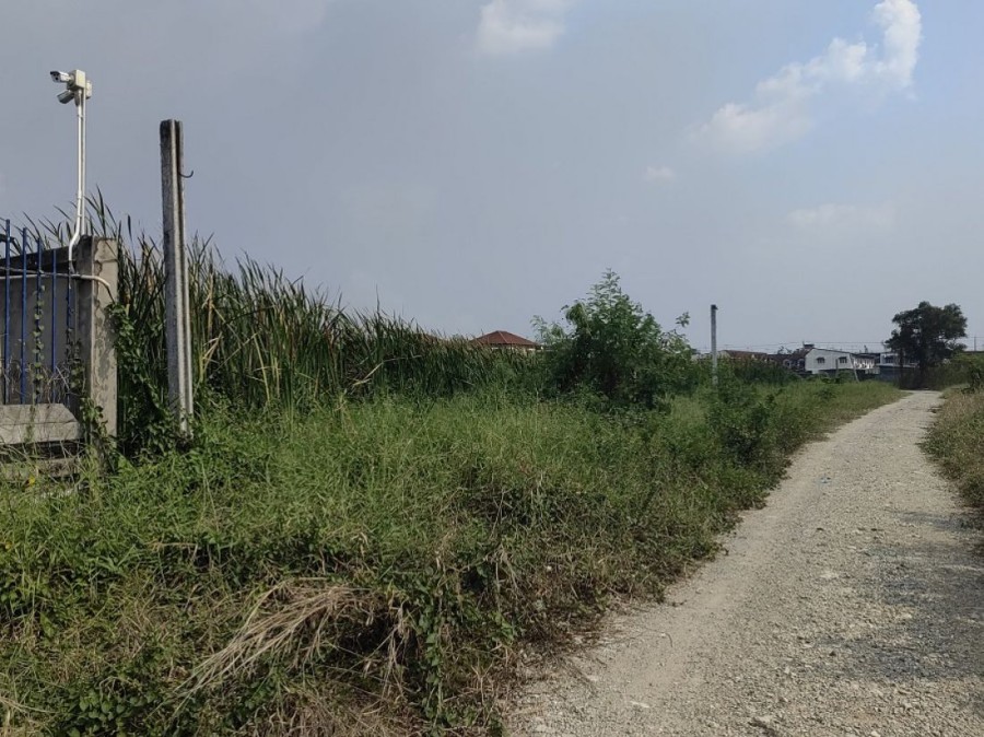 ขายที่ดิน 5-0-22 ไร่ ถนนสุขาภิบาล5 ซ.เพิ่มสิน64 (ติดซอยสินมหัตธนานนท์) สิ่งแวดล้อมดี เดินทางสะดวก ใกล้ทางด่วนด่านจตุโชติ