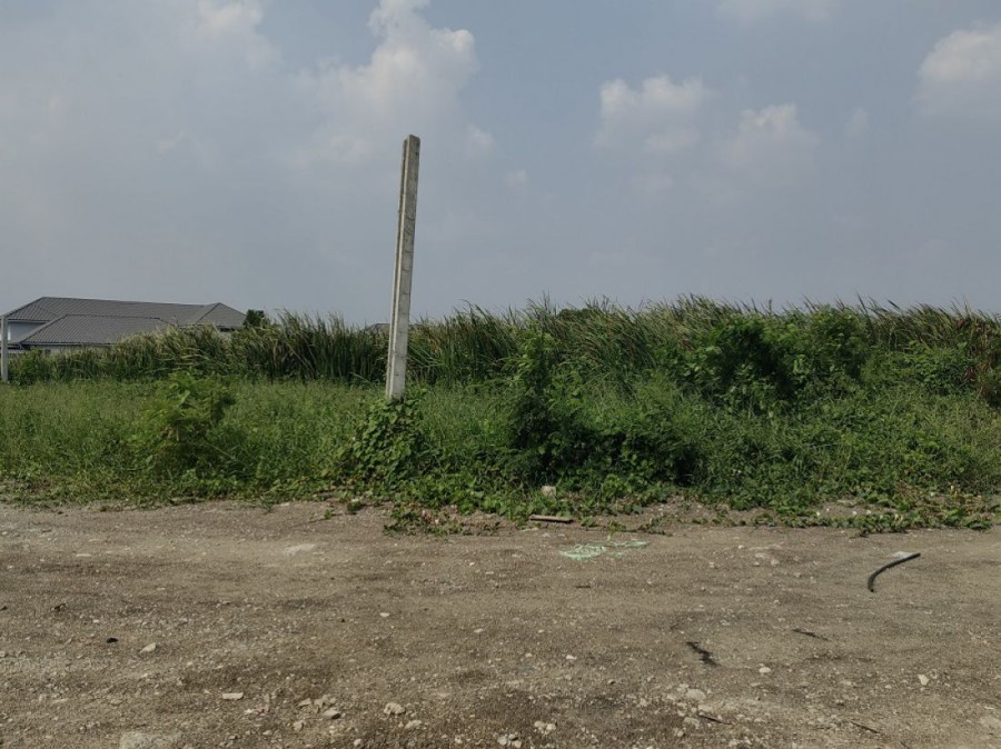 ขายที่ดิน 5-0-22 ไร่ ถนนสุขาภิบาล5 ซ.เพิ่มสิน64 (ติดซอยสินมหัตธนานนท์) สิ่งแวดล้อมดี เดินทางสะดวก ใกล้ทางด่วนด่านจตุโชติ