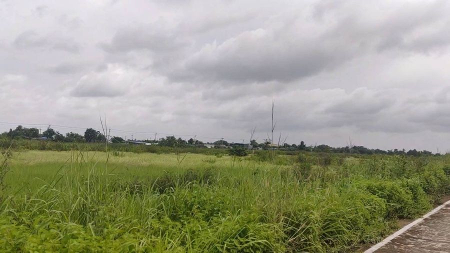 ขายที่ดิน 123 ไร่ แปลงสวยติดถนนใหญ่ ถนนสุวินทวงศ์  อ.บางน้ำเปรี้ยว จ.ฉะเชิงเทรา วิ่งเส้น 304 จากมีนบุรี