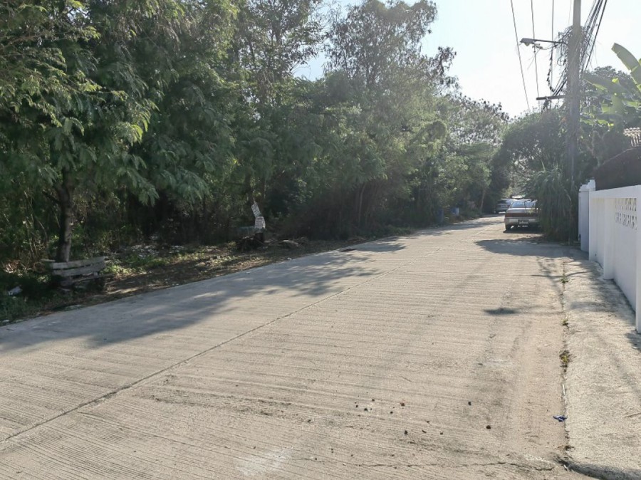 ขายที่ดิน 3-2-96  ไร่ ถนนพุทธมณฑล สาย4 ในซอย มบ.ปาริชาติ (ซอยกระทุ่มล้ม1) สามพราน